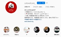 保護猫サロンCATS WELCARE・Instagram