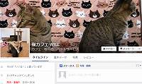 猫カフェWILL・Facebook