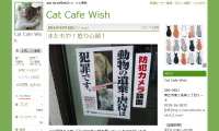 Cat Cafe Wish キャットカフェウィッシュ 北海道にある猫カフェ 子猫のへや Cat Cafe Wish キャットカフェウィッシュ 北海道にある猫カフェ 子猫のへや