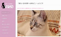 猫のいる休憩室 谷保ねこ・ホームページ