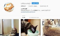 Cafeゆうなぎ・Instagram