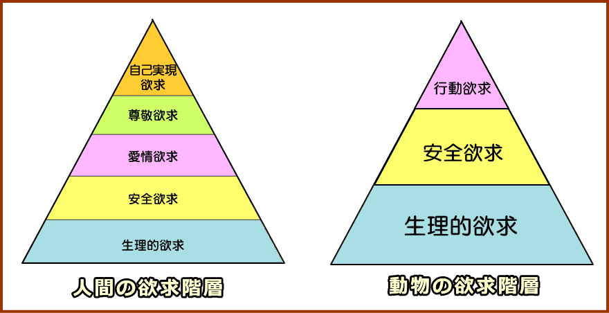 人間と動物の欲求階層比較図