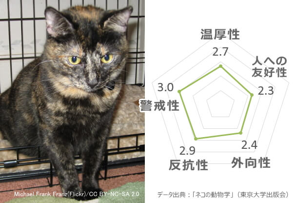 猫の性格はこうやって決まる 人なつこい猫に育てるための完全ガイド 子猫のへや