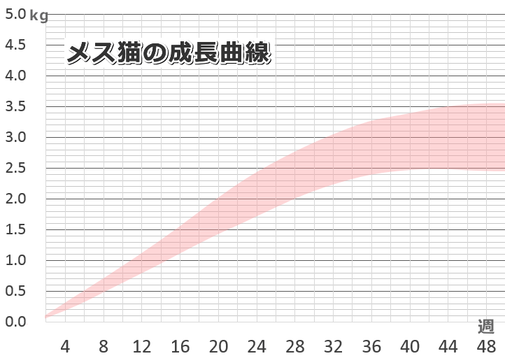 ない 子猫 体重 増え