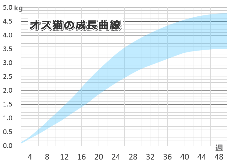 猫 体重 月齢