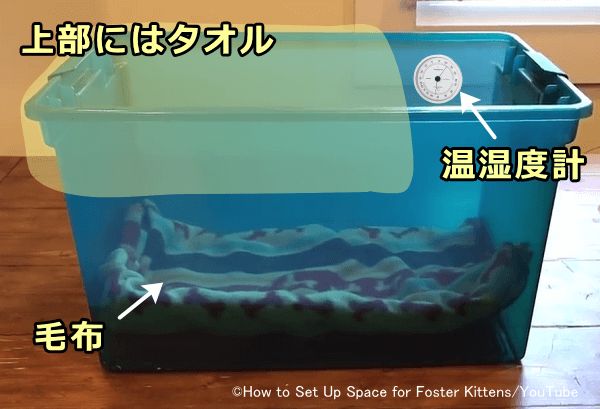 子猫のベットは温度管理に気をつける