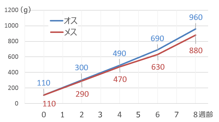 生まれてから8週齢になるまでの子猫の体重変化