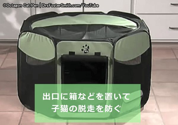 ペット用のサークルやペンを利用する際は出入り口に障壁を設けて子猫の脱走を防ぐこと