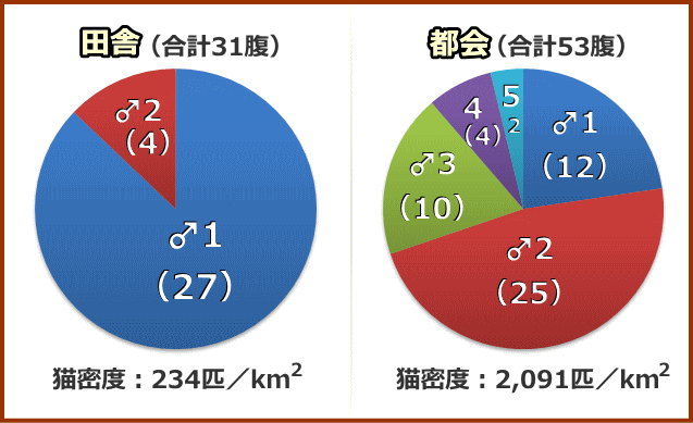 一腹における父猫の数～都会と田舎の比較