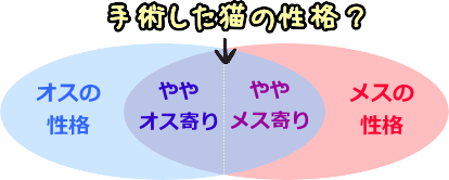 避妊・去勢手術を受けた猫の性格は、ホルモンバランスの影響で中性化すると推測される