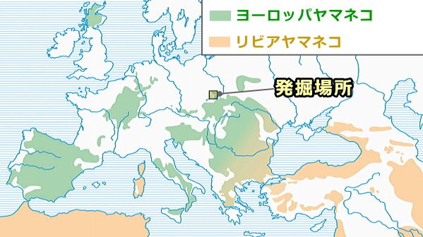 新石器時代後期の猫が発掘されたポーランド国内にある洞穴の場所