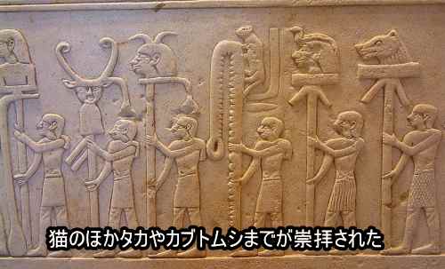 紀元前3100年頃のエジプトでは、猫はもちろんトキ、タカなどの鳥やスカラベ（コガネムシ）などの昆虫なども崇拝の対象でした。