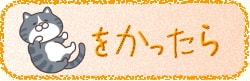 猫を飼ったら抑えておきたい知識一覧です