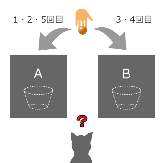 猫におけるA-not-Bエラーを検証するための実験設備