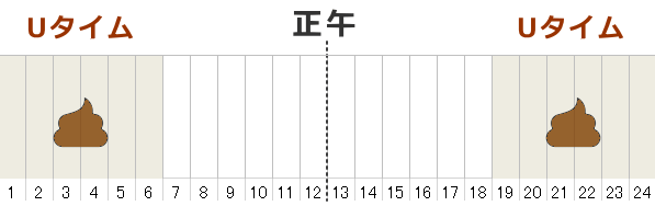 猫の体内リズムにはうんちをしやすい時間帯がある