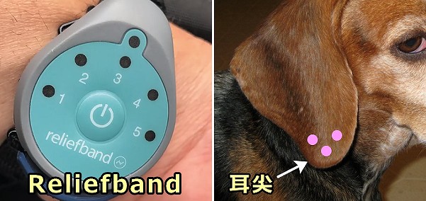 人間用の酔い止め電子機器「Reliefband」と犬用の酔い止め鍼「耳尖」