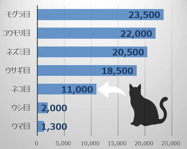 動物における被毛密度一覧グラフ