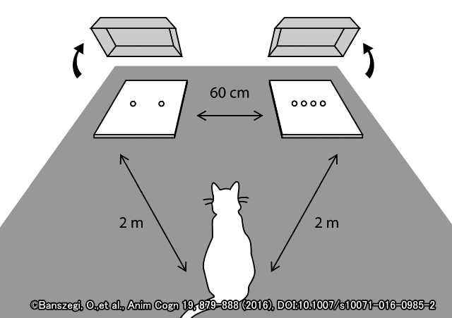 猫に対して行われた「ANS」(Approximate number system)の検証実験セット