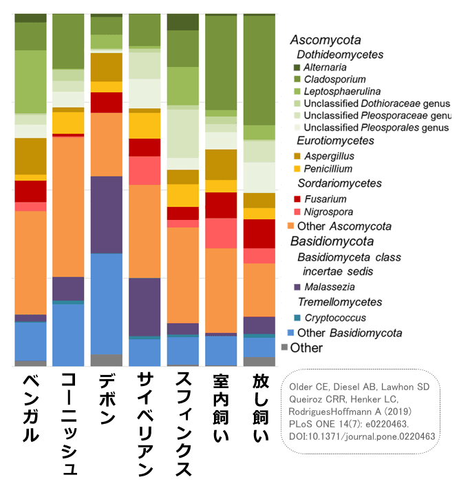 猫の皮膚細菌叢～品種ごとに見た相対的豊富度