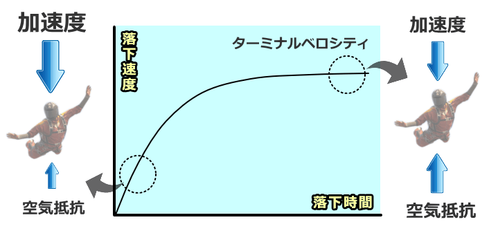 落下初期における加速度とターミナルベロシティに到達したときの加速度