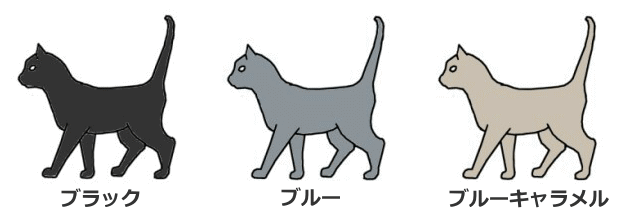 ブラック系統の猫～ブラック・ブルー・ブルーキャラメル
