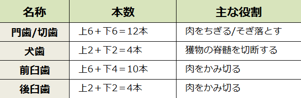 猫の歯の名称と本数、および主な役割一覧表
