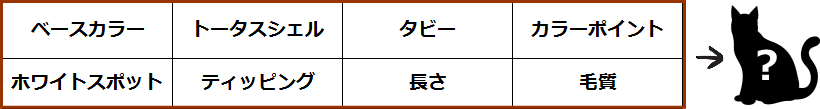 猫の被毛パターンはさまざまな要因の組み合わせによって決定される