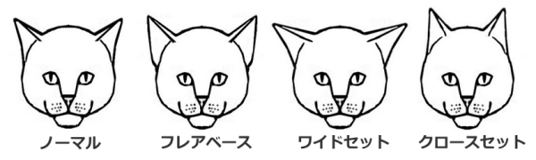 猫の耳介の位置一覧表