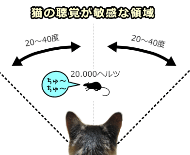 猫の聴力が最大限に発揮される領域