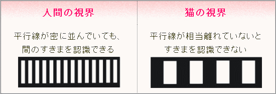 人間の視界と猫の視界の比較図