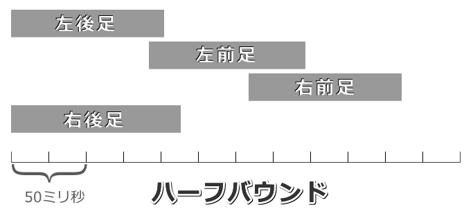 猫のハーフバウンドにおける接地のタイミング模式図