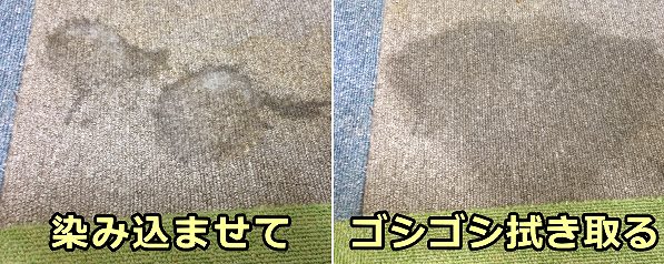 自作のシミ取り剤をカーペットの汚れに浸して汚れを浮かせる