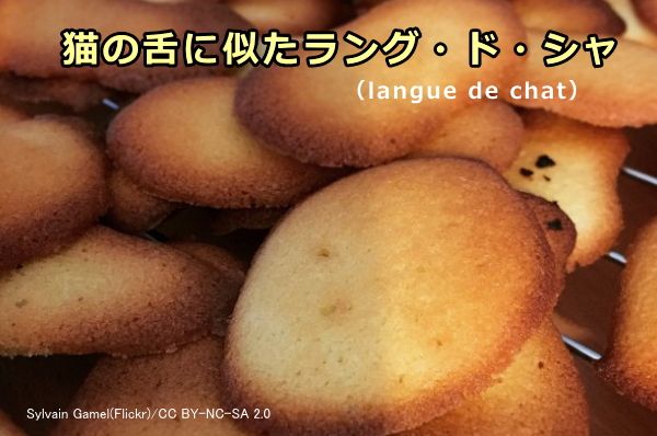 フランスの伝統的なお菓子「ラング・ド・シャ」（猫の舌）