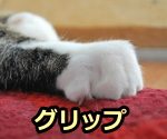 猫のグリップ能力は木登りに適している