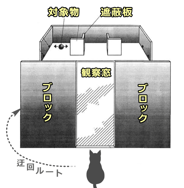 自然環境を模して猫向けにアレンジされたInvisible Displacement Testのセッティング