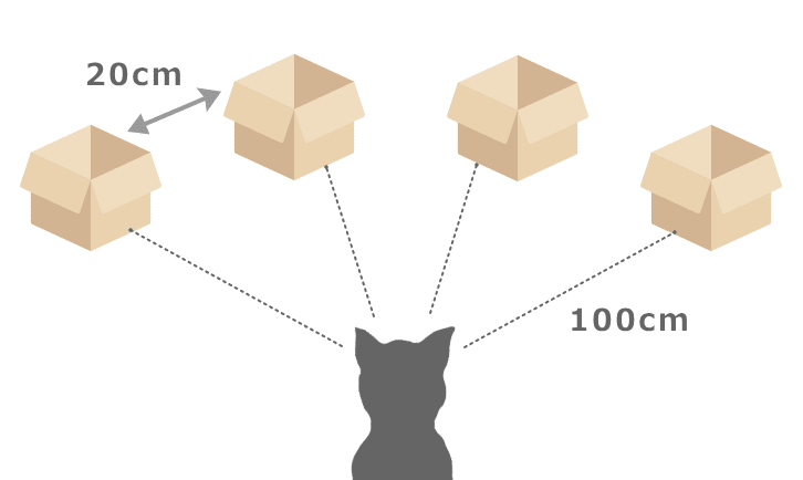 猫の作業記憶を検証するための自発的選択試験セッティング