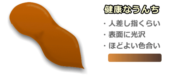 猫のうんちに現れる健康と病気 色や硬さのチェック方法から便通を良くする方法まで 子猫のへや