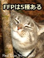 猫の顔から分泌されるフェイシャルフェロモン(FFP)は、現在5種類が同定されている