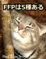 猫の顔から分泌されるフェイシャルフェロモン（FFP）は、現在5種類が同定されている