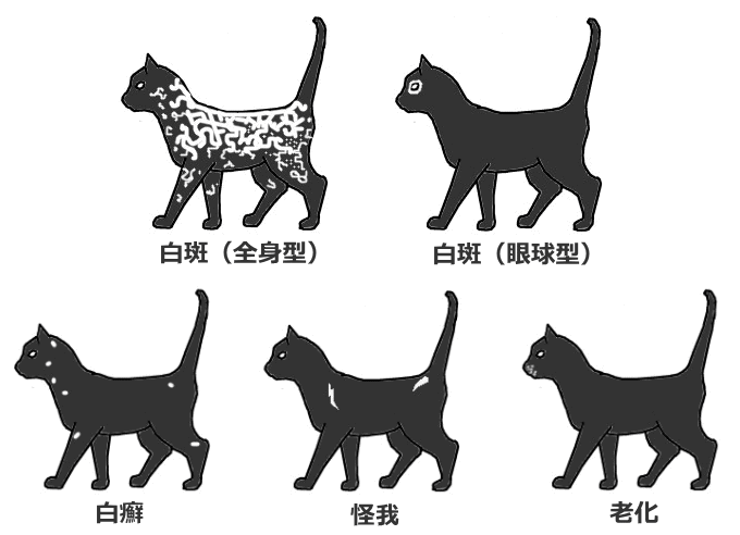 ホワイトスポットと間違えやすい病変一覧