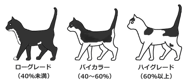 ホワイトの割合によってホワイトスポットを分類した場合