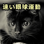 猫が動くものを視線で追う時、眼球はサッケード（断続性運動）を示す