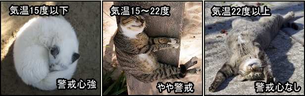 猫の寝相を見れば外の気温がわかる