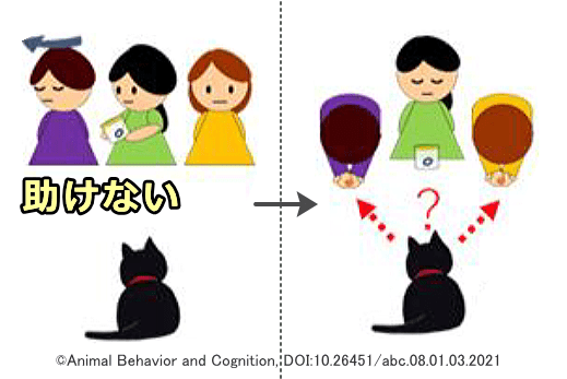 猫における人間を用いた社会的傍受実験～非協力的な人を見た後「嫌な人」と判断するか？