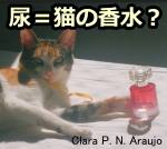 フェリニンの混じったおしっこは、猫にとっての香水のようなものか？