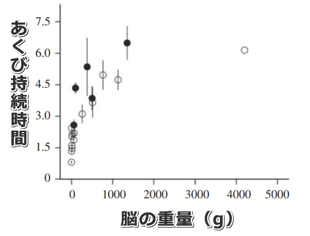 哺乳動物では脳の重量とあくびの持続時間は連動している