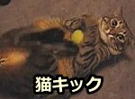 猫の必殺技「猫キック」