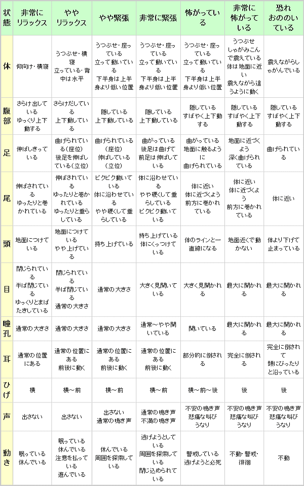 猫のストレススコア一覧表