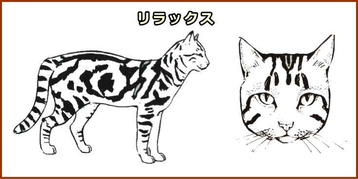 リラックスしているときの典型的な猫の姿勢