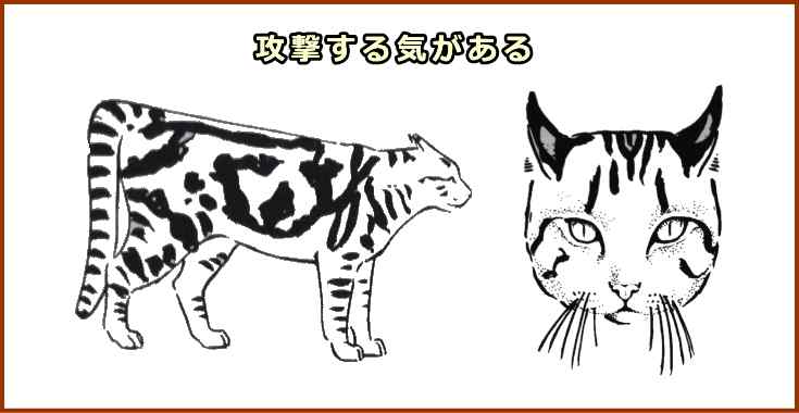 攻撃心を見せているときの典型的な猫の姿勢